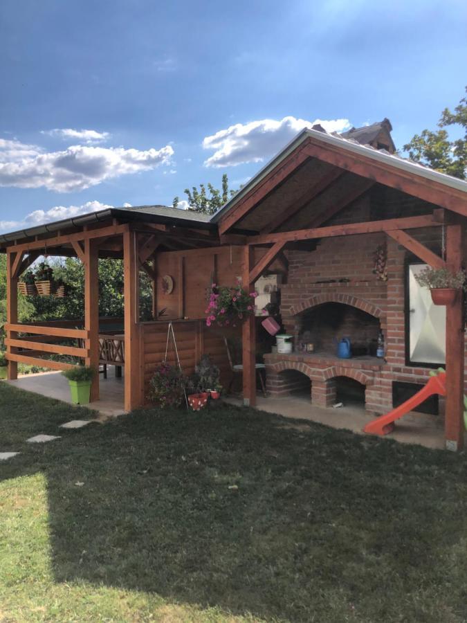 Apartament Kuca Za Odmor Davidovic Despotovac Zewnętrze zdjęcie