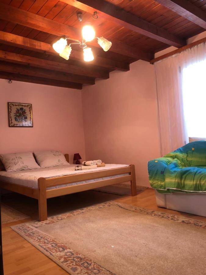 Apartament Kuca Za Odmor Davidovic Despotovac Zewnętrze zdjęcie