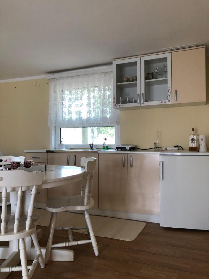 Apartament Kuca Za Odmor Davidovic Despotovac Zewnętrze zdjęcie