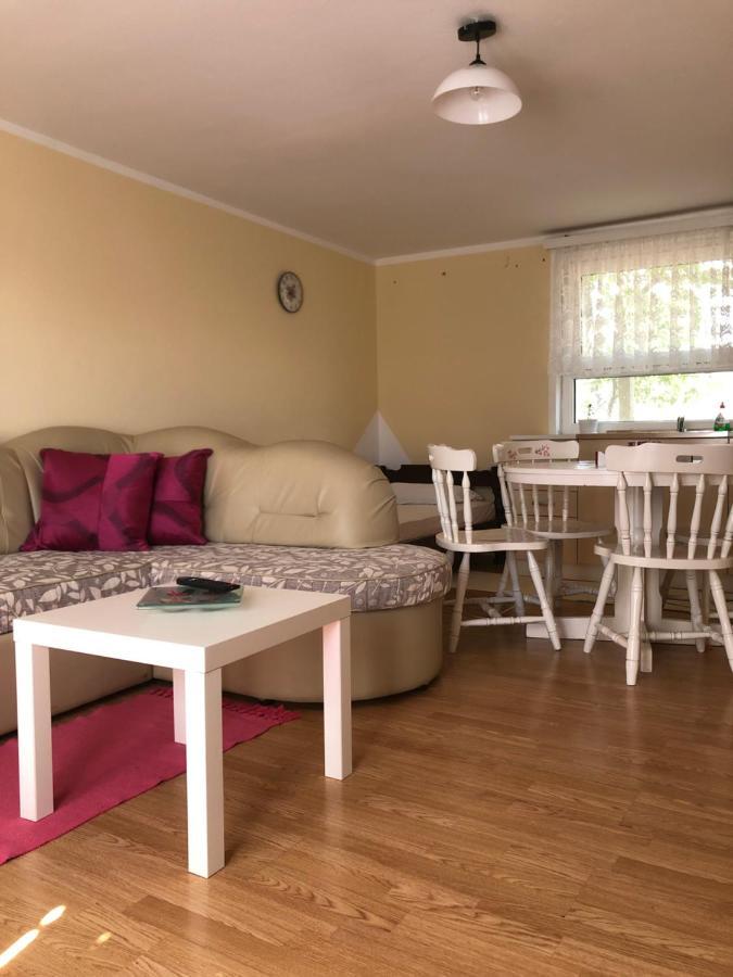 Apartament Kuca Za Odmor Davidovic Despotovac Zewnętrze zdjęcie