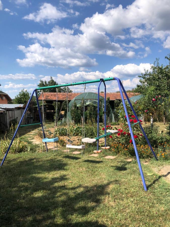 Apartament Kuca Za Odmor Davidovic Despotovac Zewnętrze zdjęcie