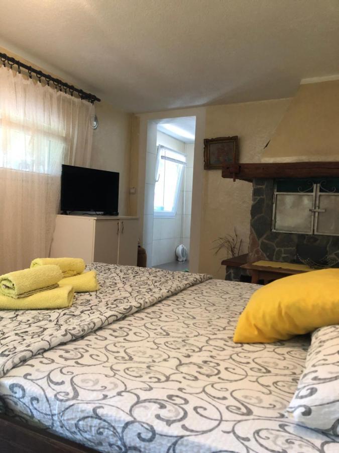 Apartament Kuca Za Odmor Davidovic Despotovac Zewnętrze zdjęcie