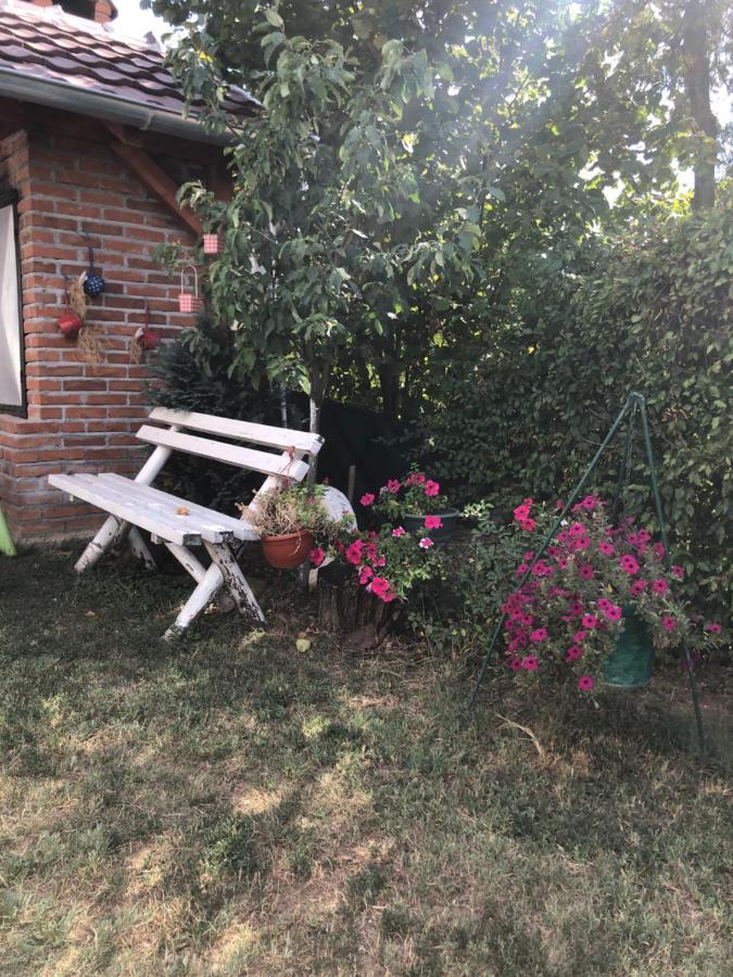 Apartament Kuca Za Odmor Davidovic Despotovac Zewnętrze zdjęcie