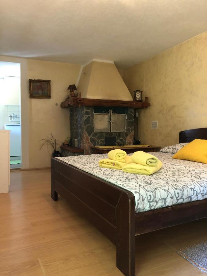 Apartament Kuca Za Odmor Davidovic Despotovac Zewnętrze zdjęcie